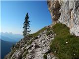 Passo Staulanza - Monte Pelmo